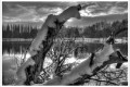 la neige est bien là...